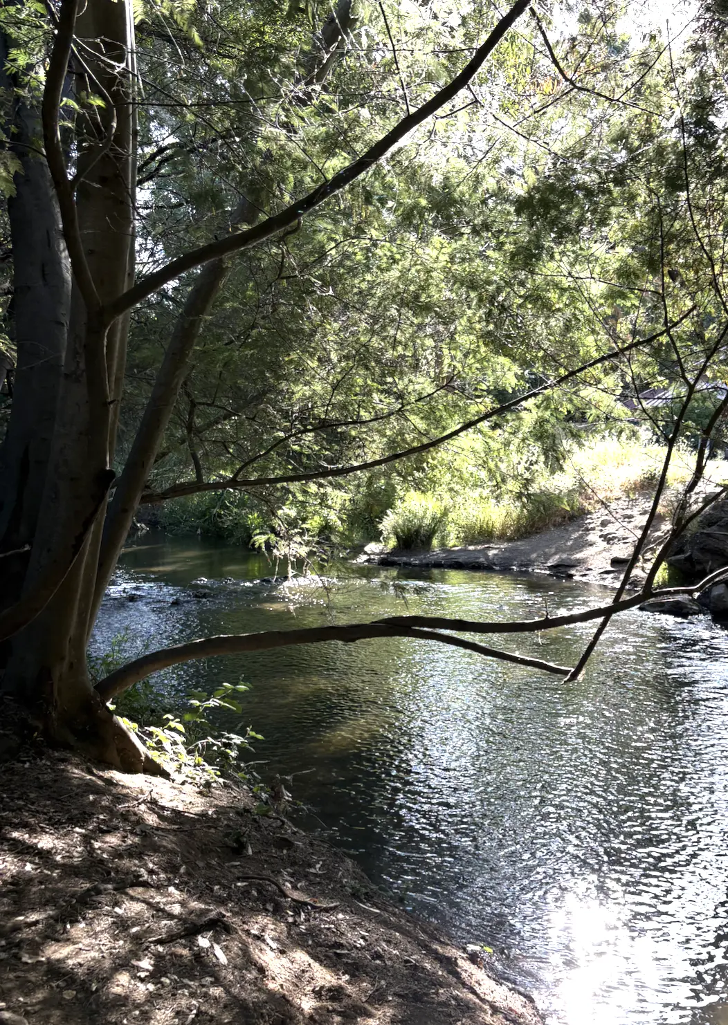 A much familiar Californian stream